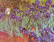 Vincent Van Gogh Irises oil painting artist